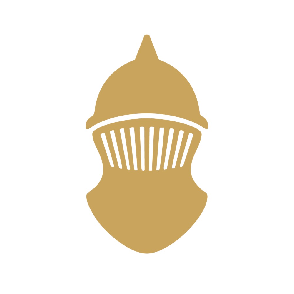 Orvus Ltd. Logo